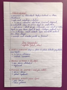 Toata materia pentru Bac Romana, Istorie si Geografie