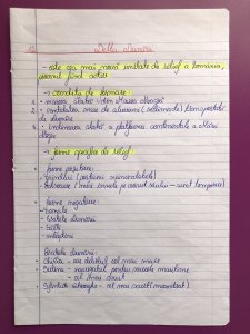 Toata materia pentru Bac Romana, Istorie si Geografie