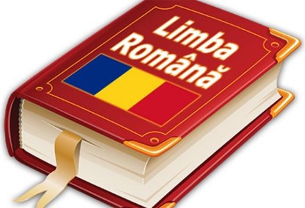 Meditatii la Limba si literatura romana