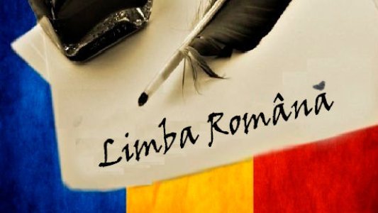 Meditații limba și literatura română