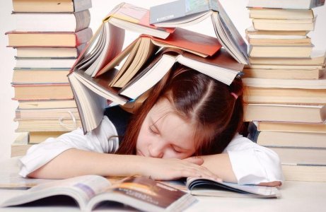 De la 50 RON/ora online (sau fizic, in Bucuresti, de la 75 RON/ora): meditatii, pregatire, ajutor la teme, orice tip de proiect, referat, prezentare ppt (elementar, gimnazial), evaluari la:  Biologie