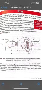 Meditații admitere medicină