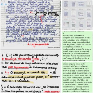 Profesor Masterand Litere UAIC | Meditații Limba Română Evaluare Națională și BAC