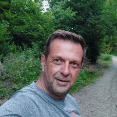 traducerienescu@yahoo.com